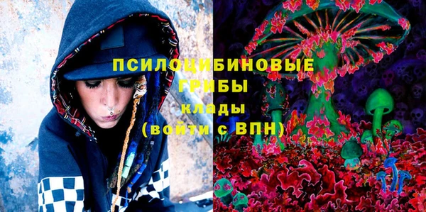 стафф Абинск