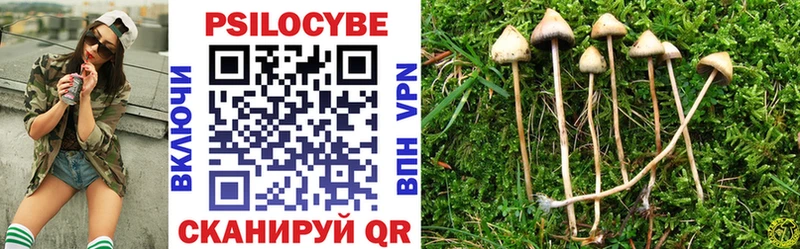 где купить наркотик  Устюжна  Псилоцибиновые грибы мицелий 