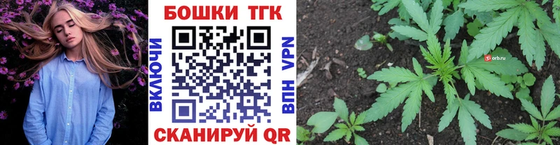 МЕГА онион  Устюжна  Бошки марихуана Amnesia 